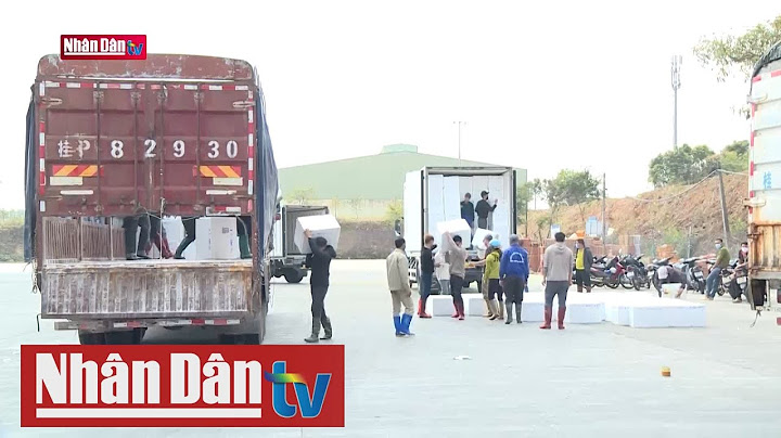 Cửa khẩu móng cái khi nào mở cửa năm 2024