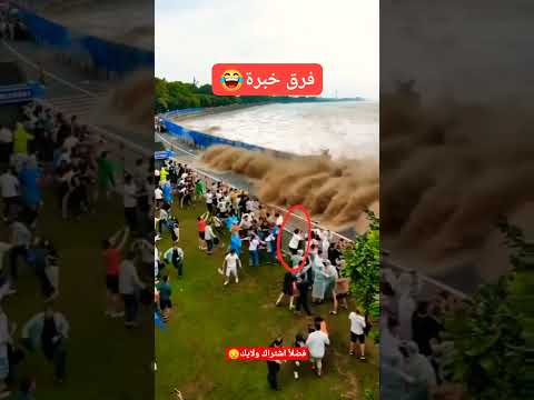 تسونامي خطير بس الولد اخطر السعودية ترند ترند السعودية ترند مقاطع قصيرة Shorts Short ترند اليوم