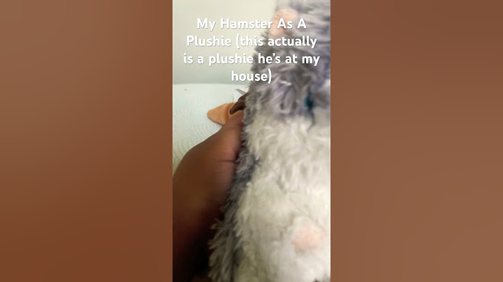 Puff as a plushie I have a Roblox account the user is ElusIPhone11 pick the Japan 1#hamster #plushie