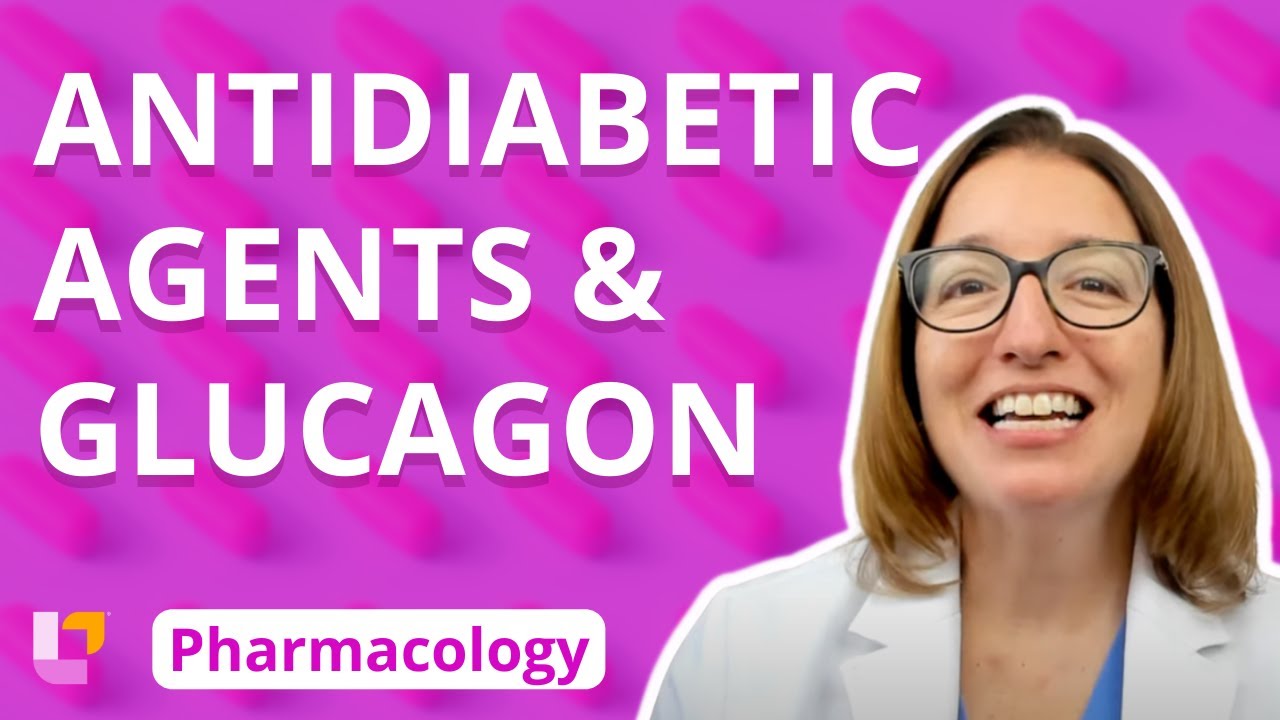 Antidiabetic Agents & Glucagon - Pharmacology - Endocrine | @LevelUpRN