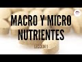 1. CONCEPTOS BÁSICOS DE ALIMENTACIÓN: MACRO Y MICRONUTRIENTES (NUTRICIÓN ORTOMOLECULAR)