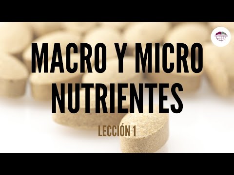 Vídeo: Dieta De Zhukov: Principios Básicos, Beneficios, Reglas Nutricionales