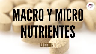 1. CONCEPTOS BÁSICOS DE ALIMENTACIÓN: MACRO Y MICRONUTRIENTES (NUTRICIÓN ORTOMOLECULAR)