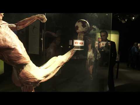 Enrique Garay te invita a la exposicin Body Worlds...