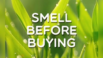 Smell before buying, Level 155, Word Crush Answers, 4k 60fps