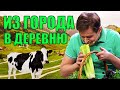 Из города в деревню! Свежий воздух и умиротворение, жизнь в деревне как она есть! | Приколы 2021