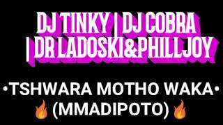 Tshwara motho waka-_Dj Tinky|Dj Cobra|Philljoy|Dr Ladoski&Dj T-man(de cooker)