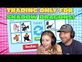 Trading Only For Shadow Dragons!! Roblox Adopt Me!!