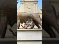 Werewolves in Roman Culture