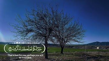 سورة النور -كاملة-  أحمد الشافعي - Surat An-Nur  Ahmed Alshafey 💜