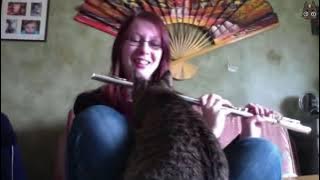 Cats vs Instruments! (A Compilation)