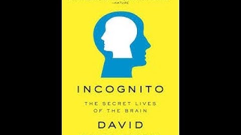 Incognito by David Eagleman Book Summary - Review (AudioBook)