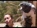 Show de Aves Rapaces de Oasis Park en Fuerteventura Islas Canarias