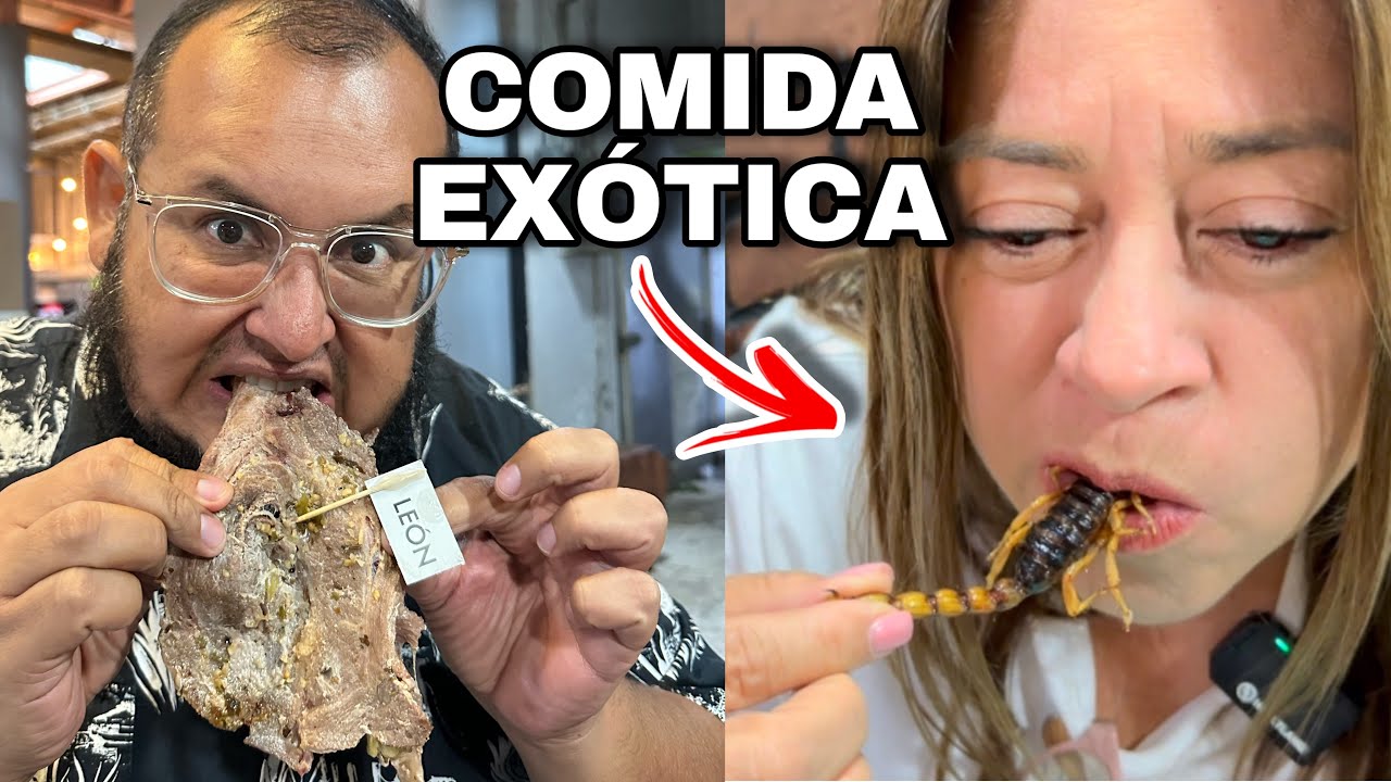 PROBANDO COMIDA EXÓTICA EN MEXICO 🇲🇽 ¿León? ¿Cocodrilo? ¿Insectos?