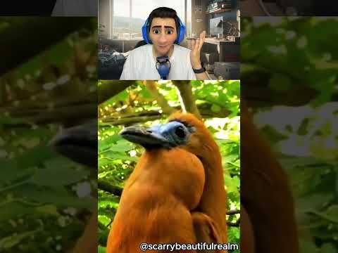 İnanamayacağınız Seslere Sahip