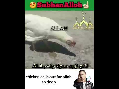 Eminem Islam Chicken