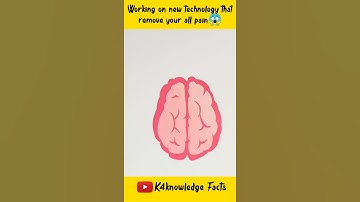 Remove Your All Painful Memories In Your Brain😱 But How?🤔 #youtubeshorts | facttechz