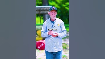 When to Plant Fall Plots