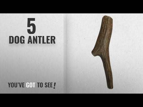 top-5-dog-antler-[2018-best-sellers]:-deer-antlers-for-dogs,-premium,-grade-a,-deer-antler-dog-chew,