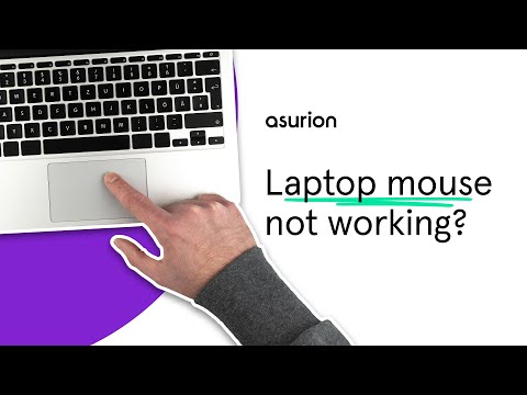 Laptop mouse not working Heres how to fix it Asurion