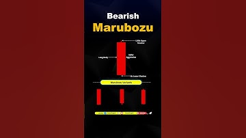 Bearish Marubozu, Candlestick Patern | #forex  #chartpatterns #candlestickpattern #shortsfeed