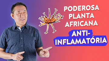 Quais os benefícios do Arpadol?