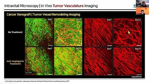 (EN) Webinar: Intravital In Vivo Imaging for the Evaluation of Novel Therapeutics