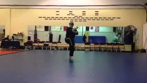 Pyong An Oh Dan Reverse Angle