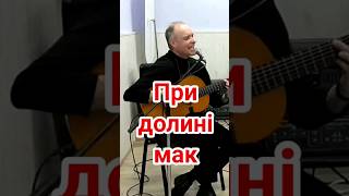 &quot;При долині мак&quot; Володимир Василенко і Андрій Криворучко. КВМШ #1 Директор Ю. Лисенко #shorts