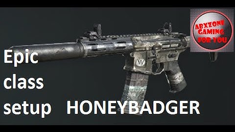 COD Ghosts Epic class set up HoneyBadger