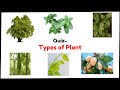 Quiz - Lets identify Type of Plants - Tree, Herb. आइए पहचाने पौधे का प्रकार.