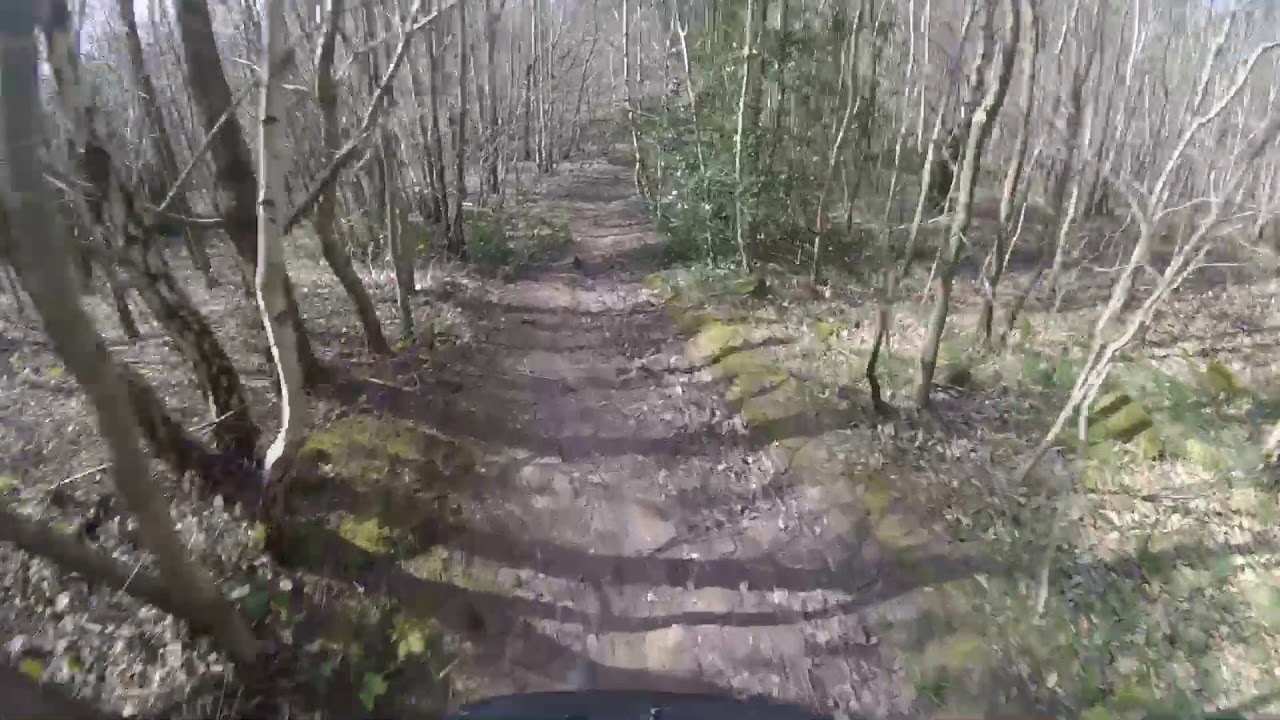 Canklow woods, Rotherham YouTube