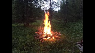 Костер в лесу. Горение костра 30 минут. HD качество.Bonfire in the forest.