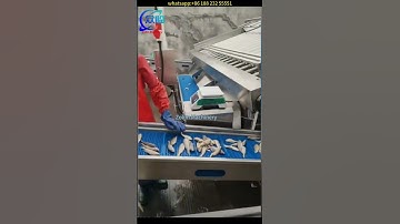 fish roller grader, automatic fish roller sorting machine, automatic fish roll grader