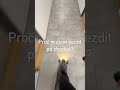 Koho napadlo začít točit esk8 uprostřed zimy?
