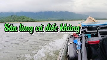 Hành trình săn lùng cá diếc khủng