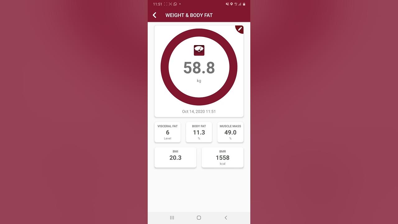 Rossmax Body Fat Monitor WF262 YouTube