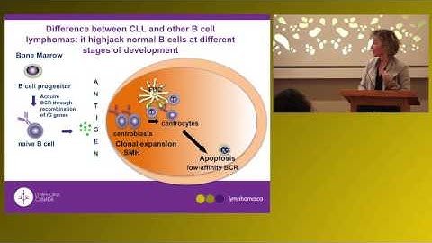 CLL Biology