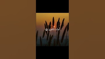 #قران_كريم #قرآن #تلاوات #تلاوة #تلاوة_خاشعة #سورة #ياسر_الدوسري