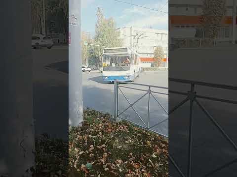 Автобус номер 641 маршрут 24с и троллейбус номер 261 маршрут 10