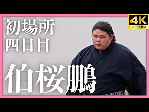 伯桜鵬】初場所四日目。立合いで一気に・・・ここは地獄の交差点