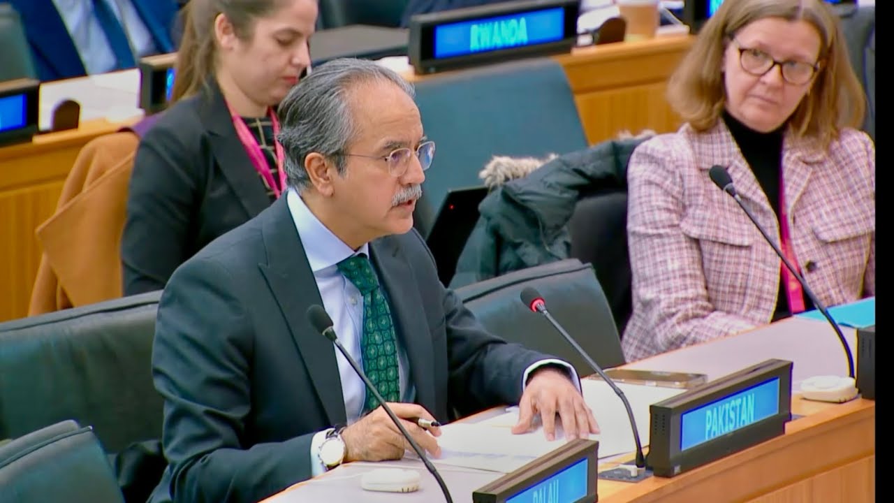 Заявление Пакистана на 80-й Международной рабочей группе ООН по осуществлению мандата. 3 марта. #...