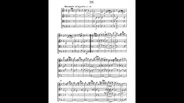 Haydn String Quartet No.40 Op.50 No.5 Hob.III:48 Dream 海頓 絃樂四重奏 50-5 夢 Sueño Score Sheet 譜 【Kero】
