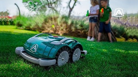 Ambrogio Robot L60 Elite: Ready Right Out of the Box! (N. American Market)