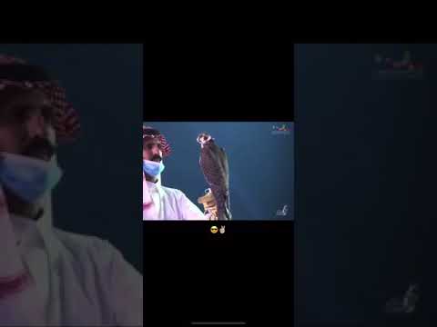 فرخ شاهين طرح حفر الباطن في مزاد ملهم الرياض سعر جنوني 650 الف