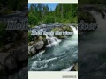 Hold back the river