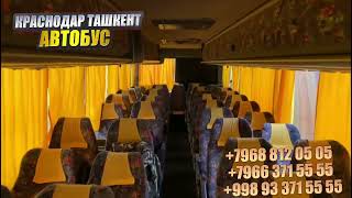 Тошкент Краснодар автобус билет нахлари 2024