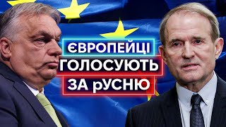 РУСИФИКАЦИЯ ЕВРОПЫ: чего ожидать от выборов в Европарламент и при чем здесь Медведчук?