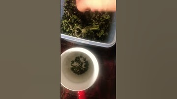 Have you guys ever tried nettle tea? #nettles #tea #exploremore