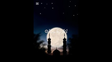 سورة الجاثية {الآية 18} بصوت الشيخ ناصر القطامي ❤️ ❤️